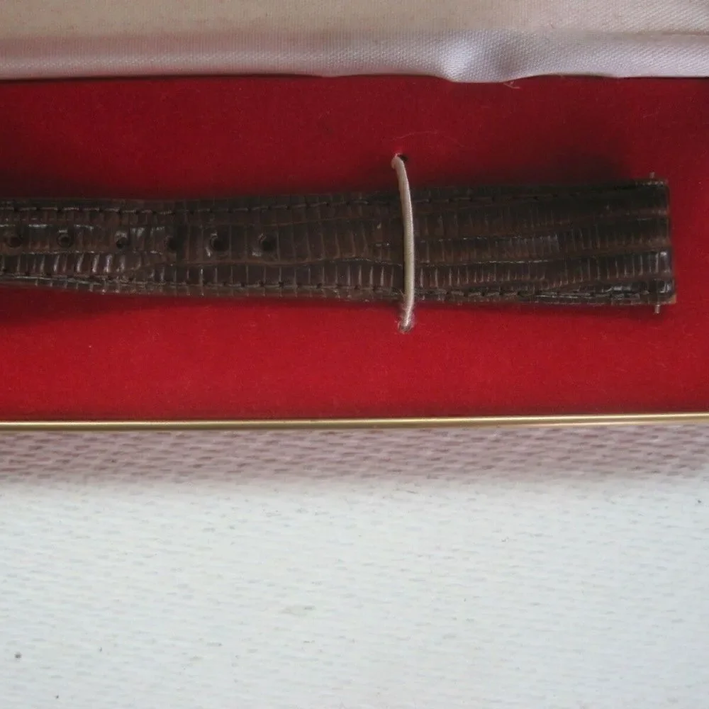 ELECTRONICALLY TIMED Watch Band Strap Switzerland